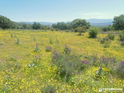 Chorrera de San Mamés-Valle del Lozoya; selva irati navarra rutas senderismo la pedriza picos de eur